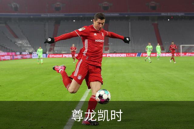 尊龙凯时公司简介图片